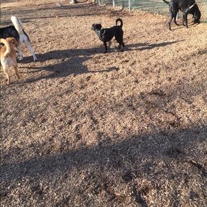 Meet your Posher, Santos